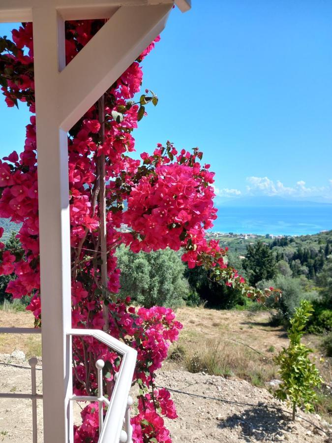Vasiliki View Villa Agios Petros  Ngoại thất bức ảnh