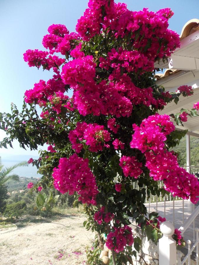 Vasiliki View Villa Agios Petros  Ngoại thất bức ảnh